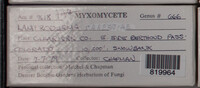 Image Associated With the Occurence